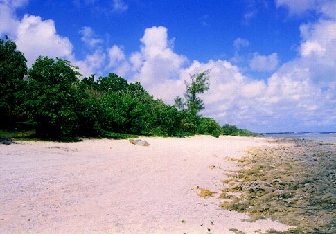 Wing Beach