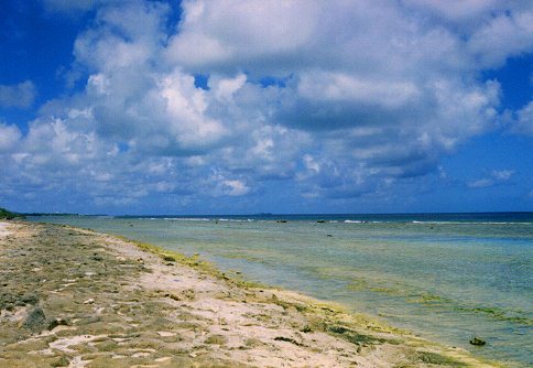 Wing Beach