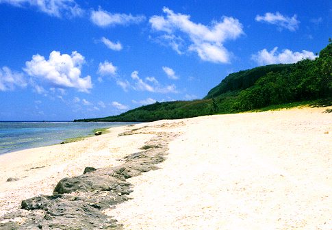 Wing Beach