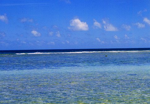 Wing Beach