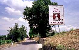 �L�����e�B�N���V�R�E�}�L���x�b���̊Ŕ�