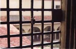 �T���E�}���R���p��