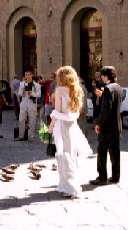 �V�j���[���A�{