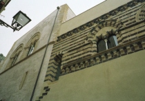 �m���}�����̃C�X���������z��