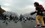 Ueno Tokyo