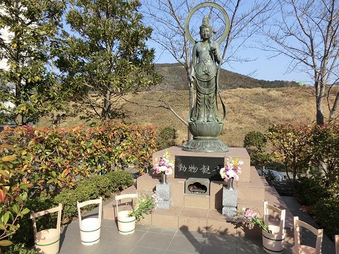 �ǂ��Ԃ̐X�쉀�@�����ω�