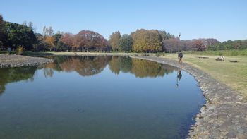 ӂ̍Lij