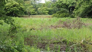 �����̎��n�i������L�O�����j