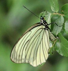 �A�J�{�V�S�}�_���Y���i������L�O�����j