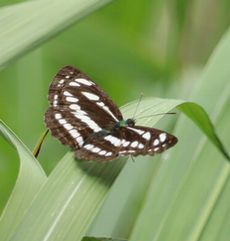 �R�~�X�W�i������L�O�����j