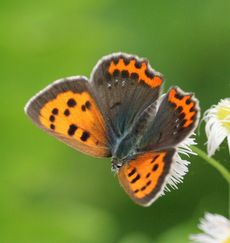 �x�j�V�W�~�i������L�O�����j