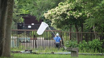 �̏W�l�i�����j