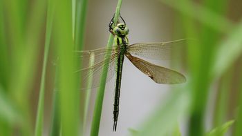 �A�I�����}�i�����j