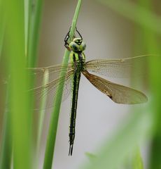 �A�I�����}�Î~�i�����j