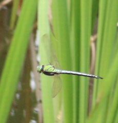 �A�I�����}���āi�����j