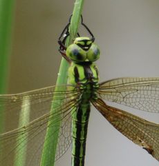 �A�I�����}�i�����j