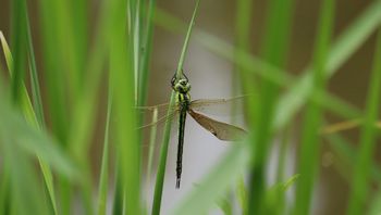 �A�I�����}�i�����j