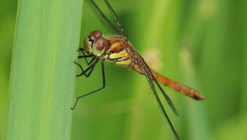 �A�L�A�J�l�i�����j
