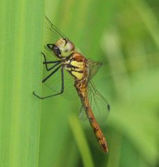 �A�L�A�J�l�i�����j