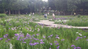 �Ҋ����i�����j
