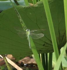 �A�I�����}���āi�����j