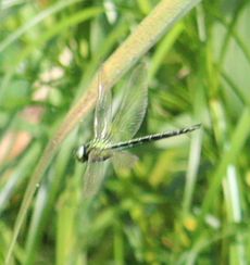 �A�I�����}���āi�����j