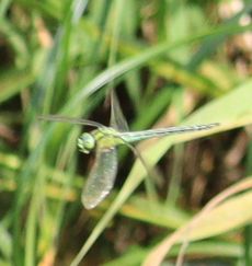 �A�I�����}���āi�����j