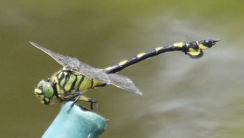 �E�`�������}�i�����j