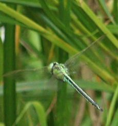 �A�I�����}���āi�����j