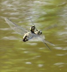 �E�`�������}������āi�����j