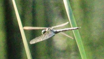 �A�I�����}���āi�����j