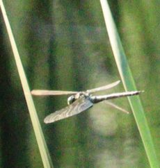 �A�I�����}���āi�����j