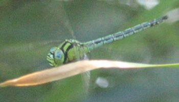 �A�I�����}���āi�����j