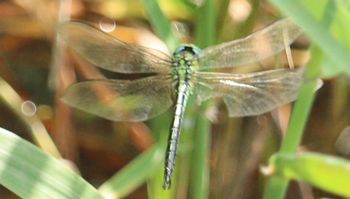 �A�I�����}���āi�����j