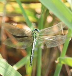 �A�I�����}���āi�����j