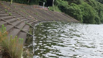 �i�S���T�i�G�H���|�C���g�i�]�ː�j