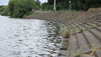 �i�S���T�i�G�H���|�C���g�i�]�ː�j