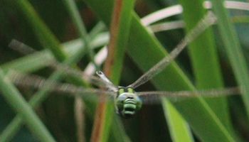 �A�I�����}���āi�����j