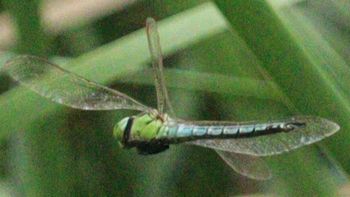 �A�I�����}���āi�����j