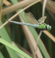 �A�I�����}���āi�����j