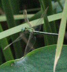 �A�I�����}���āi�����j