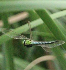 �A�I�����}���āi�����j