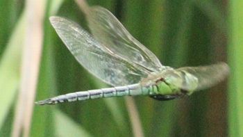 �A�I�����}���āi�����j