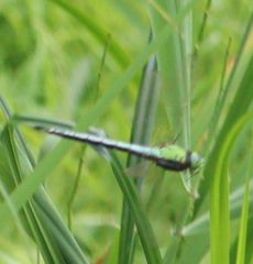 �A�I�����}���āi�����j