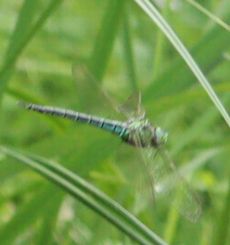 �A�I�����}���āi�����j