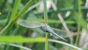 �A�I�����}���āi�����j