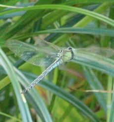 �A�I�����}���āi�����j