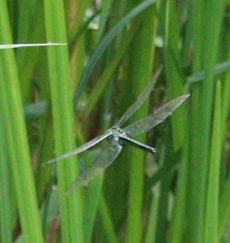 �A�I�����}���āi�����j