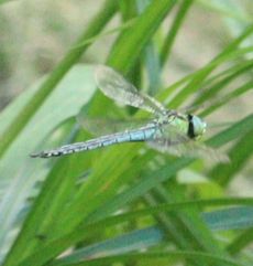 �A�I�����}���āi�����j