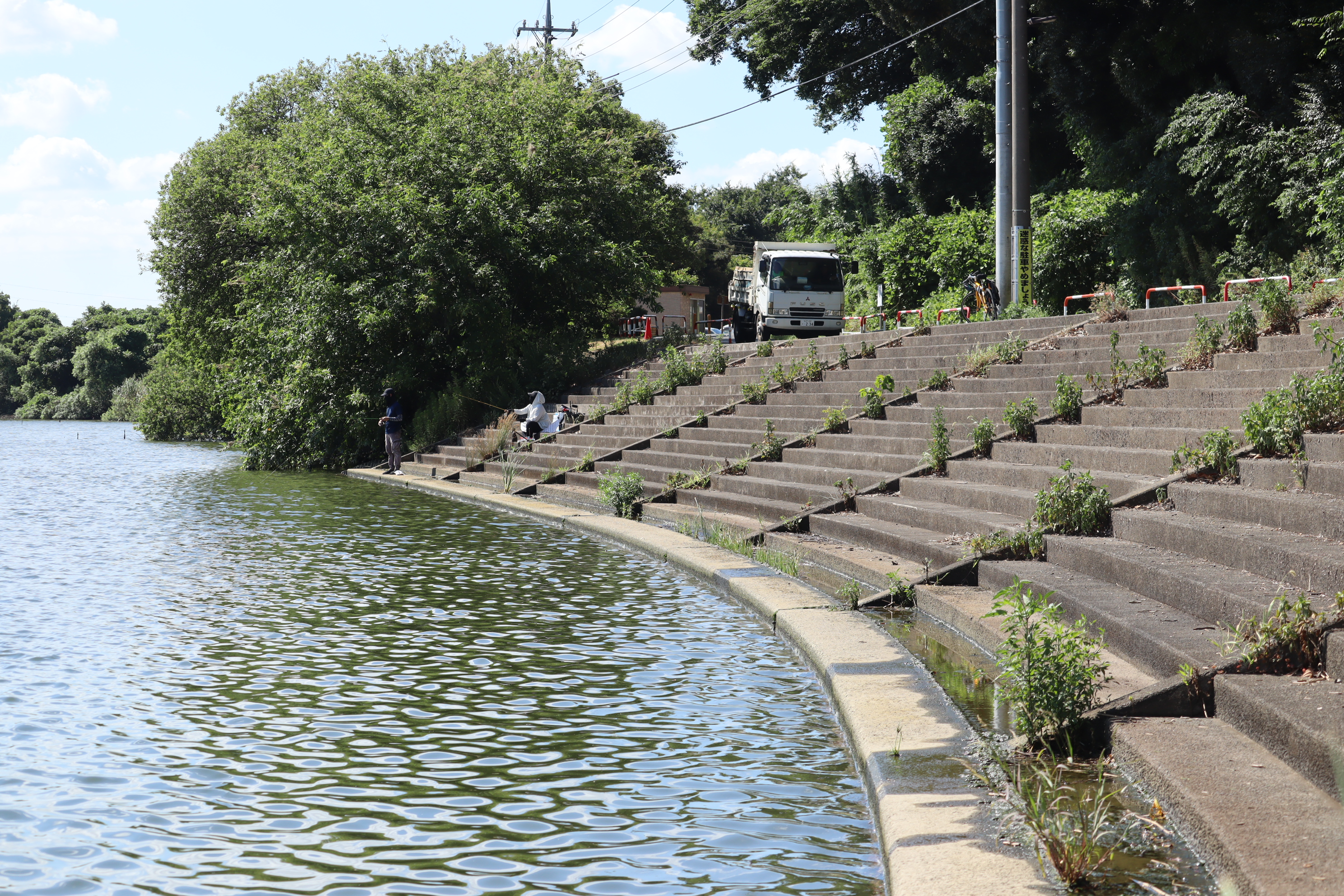 �H���|�C���g�i�]�ː�j